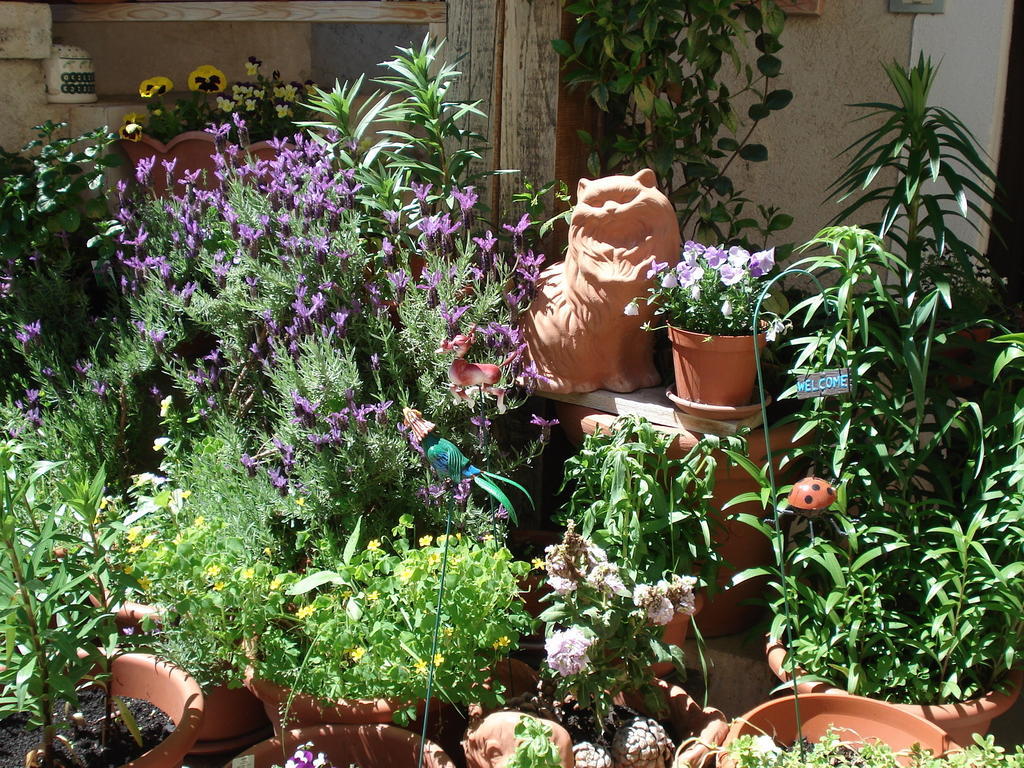 Abruzzo Segreto Bed & Breakfast Navelli Eksteriør bilde
