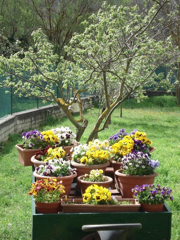 Abruzzo Segreto Bed & Breakfast Navelli Eksteriør bilde