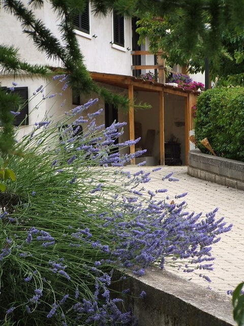 Abruzzo Segreto Bed & Breakfast Navelli Eksteriør bilde